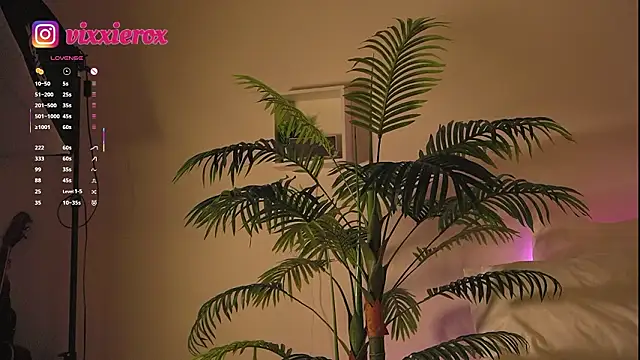 ViXXXiee – Naživo XXX chat