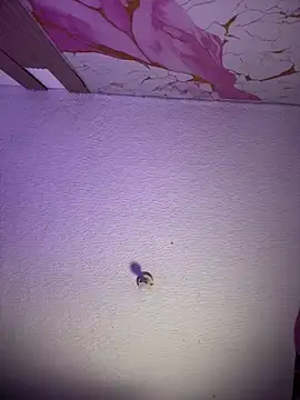 Woo_isDaphne's Live XXX Chat