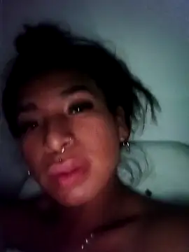 دردشة MeelFox الجنسية المباشرة