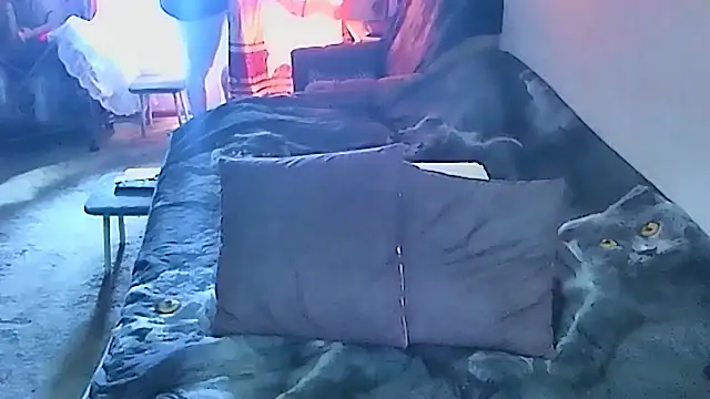 sex2 লাইভ XXX চ্যাট