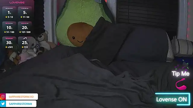 Show Webcam de sapphirestorm8