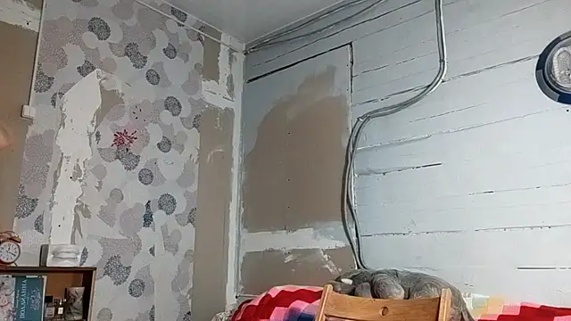 Chat +18 de DinaFirebird ao vivo