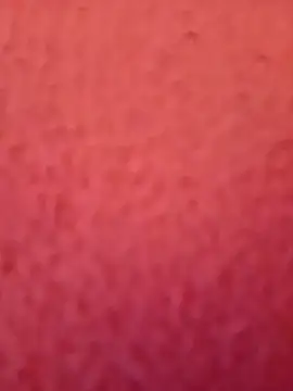 rafaelfaria's Webcam Show