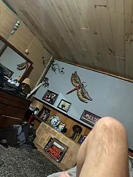 showitalloffn Webbikameraesitys