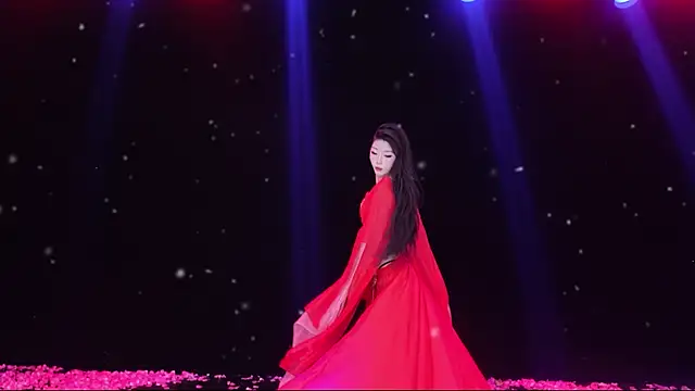 RV-525- 网络视讯表演