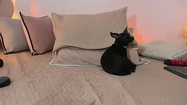 luciana_jam_ Webcam-Show