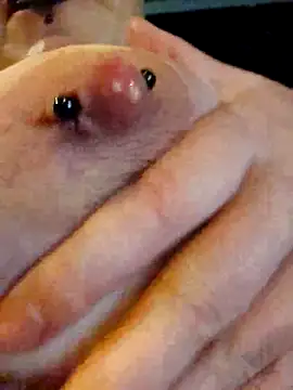 Chatroom XXX en direct de PinkTheHawk