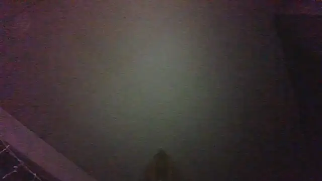 theboobietrap Pertunjukan Webcam