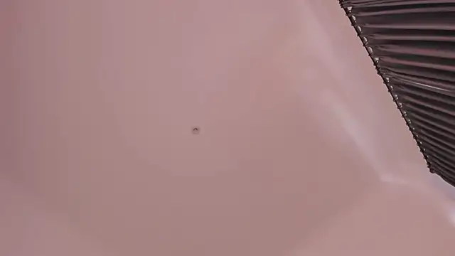 Chat XXX ao vivo de Timissi