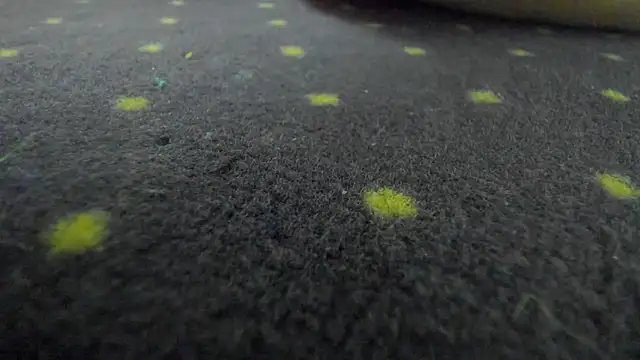 Show webcam de AishaRouhi