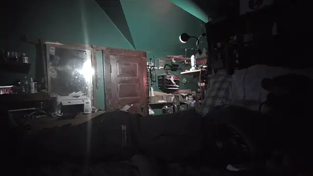 Pokazy przed kamerką – charactrzero