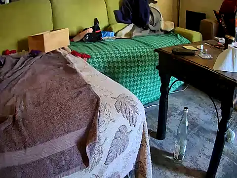 Hornybiboy66 在線直播表演