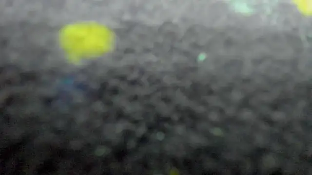 AishaRouhi Live XXX-Chat