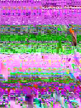 RubyInk Show in webcam