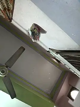 Czat XXX na żywo – sanu_07