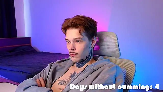 DENIS_HEREn Webbikameraesitys