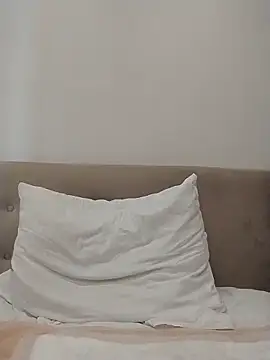 SalientClean Webcam-Show