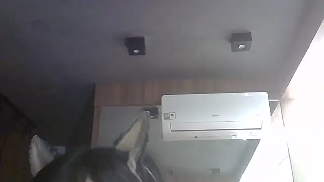 دردشة SkinnyKitten الجنسية المباشرة