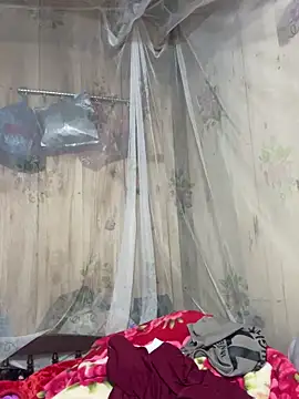 Forida-ciea 网络视讯表演