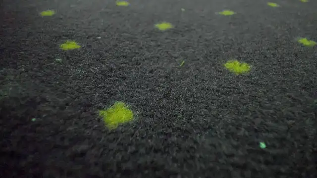 Chat +18 de AishaRouhi ao vivo