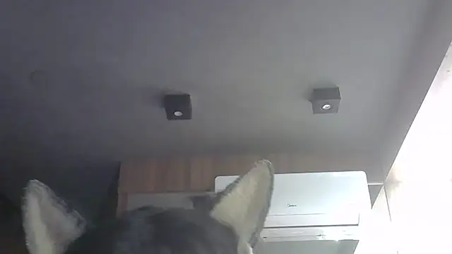 SkinnyKitten 라이브 XXX 채팅