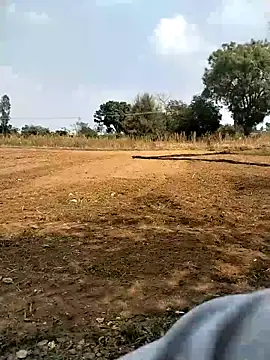 jellydicks live XXX chat