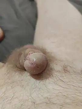 Halunja Pertunjukan Webcam