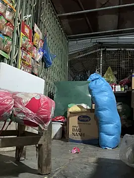 BellaCherishDarling: онлайн-секс-чат