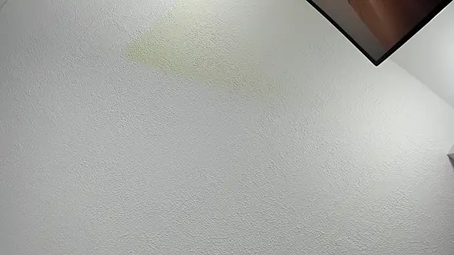 Emily_bruss Chat XXX live