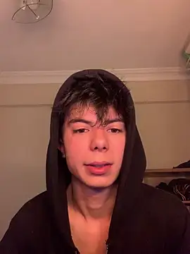 Beratylmamssn Webbikameraesitys