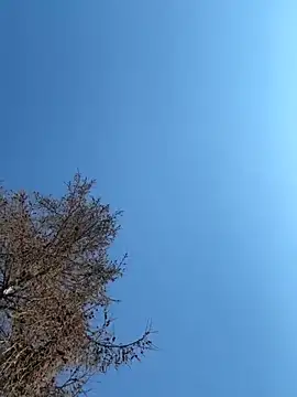 Show de webcam de Danii0790