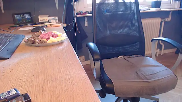 endastjag Pertunjukan Webcam