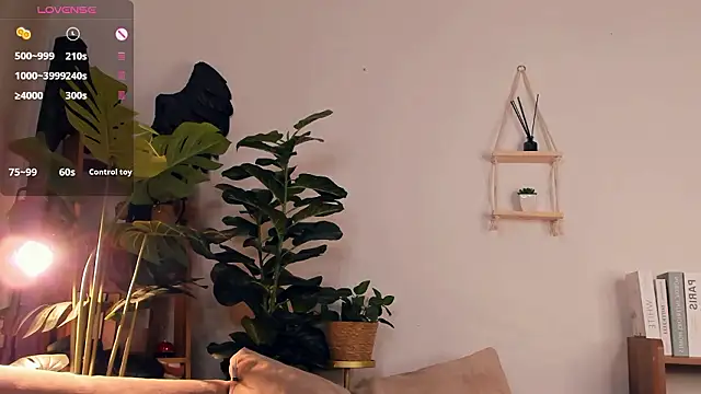 Webkamerová show LaureMestler