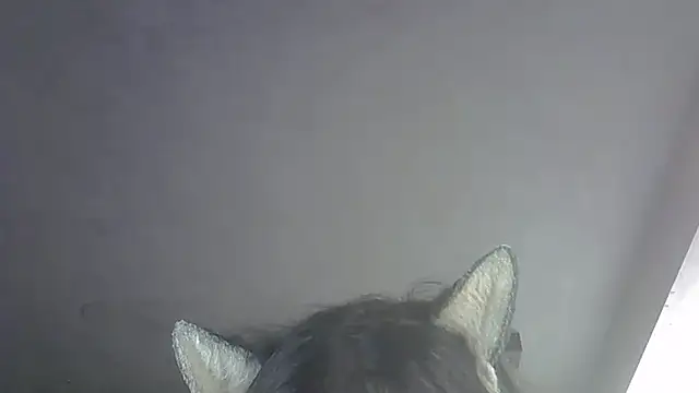 SkinnyKitten Chat XXX in diretta