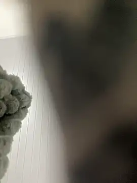 lefararafaelのウェブカメラショー