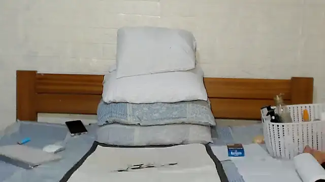 awild_kitten Show in webcam