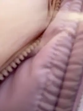 Show de Betsy na webcam