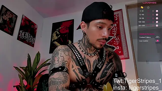 Chat XXX ao vivo de TigerStripes1_
