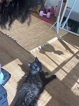 دردشة mochamimi الجنسية المباشرة