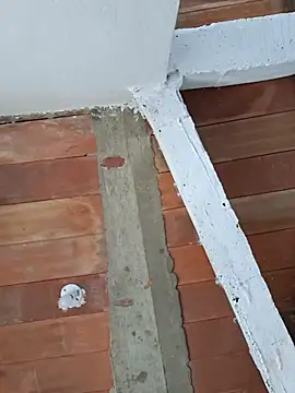 Cataleya_ja 现场XXX聊天