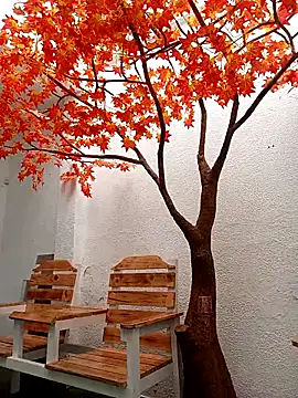 Dante_Knox Obrolan Langsung XXX