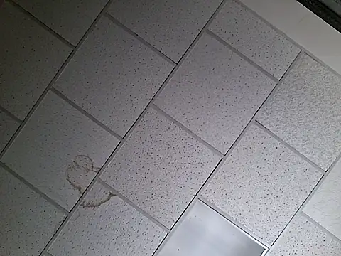 curiouscock38 webkamerás műsora