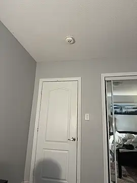 bigcookdream Webcam-Show