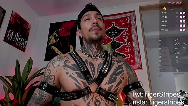 TigerStripes1_ Webcam-Show