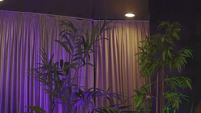 HotBustyBabeX: онлайн-секс-чат