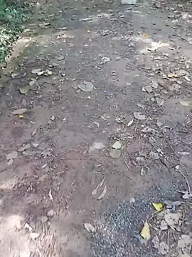 casal_atrevido's Live XXX Chat