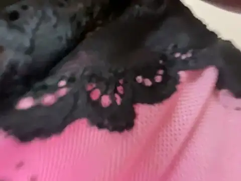 Onlypawzz's Live XXX Chat