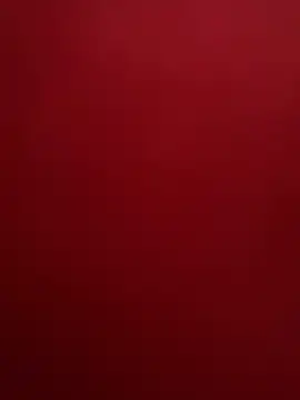 Show webcam de lolabunny9