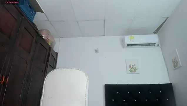 barbie_ds Show in webcam