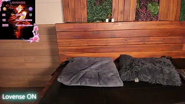 nicktorn ওয়েবক্যাম শো